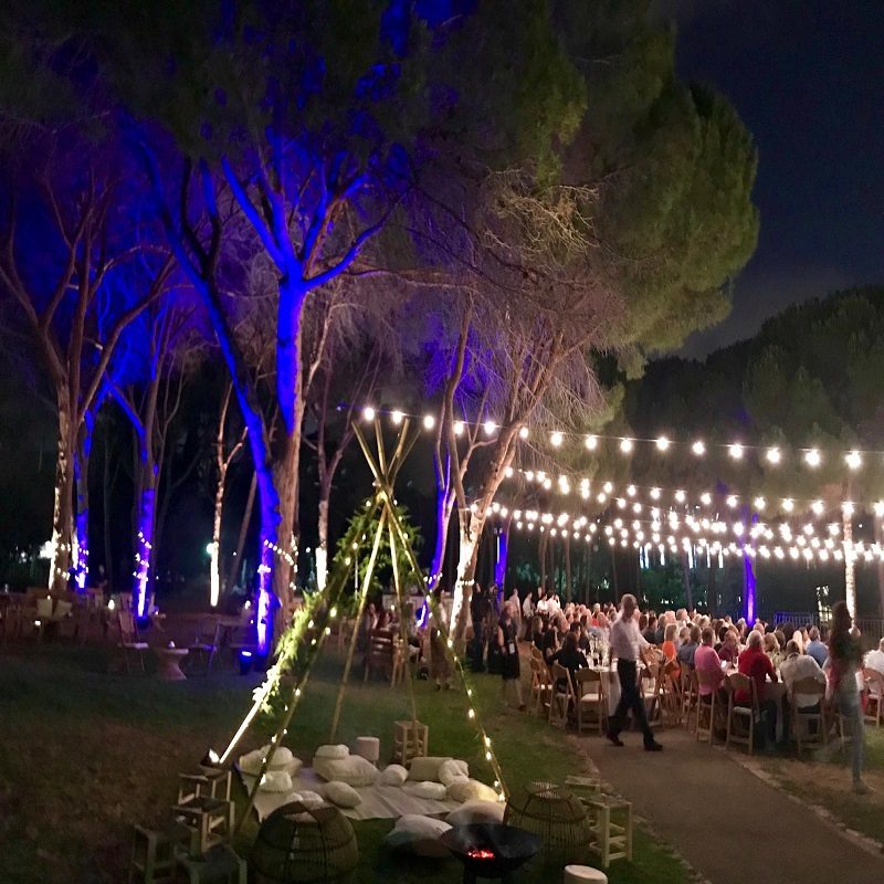 IMG-20190813-WA0003